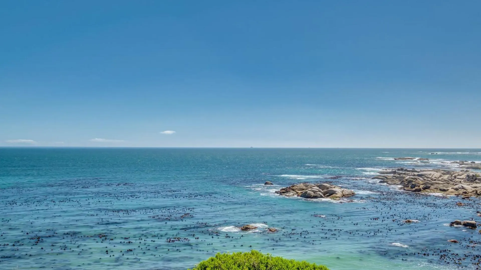 Bali Luxury Suite E Cape Town Apartment
